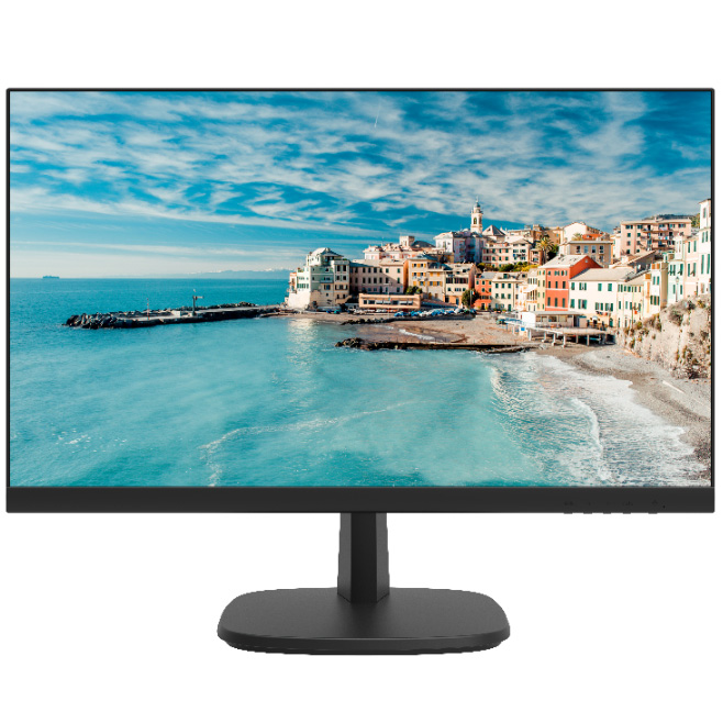 Купить Hikvision DS-D5024FN 23.8" TFT-LED монитор в Москве.