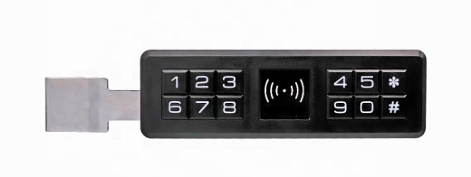Купить DIVITEC DT-S1402G Электронный замок для сдвижных стеклянных дверей, стеклянных витрин в Москве.