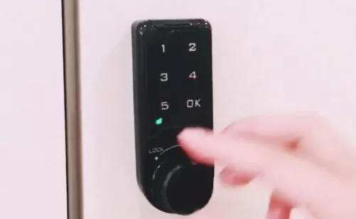Купить DIVITEC DT-CD1809 Электронный замок в Москве.