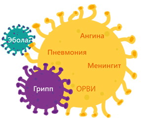Защита от вирусов - автономный термографический комплекс SN-T5